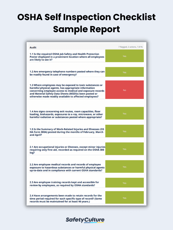 OSHA Self Inspection Checklist Sample Report