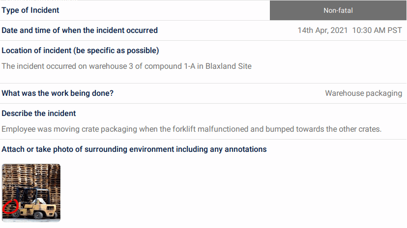 Incident Report Sample - Step 1