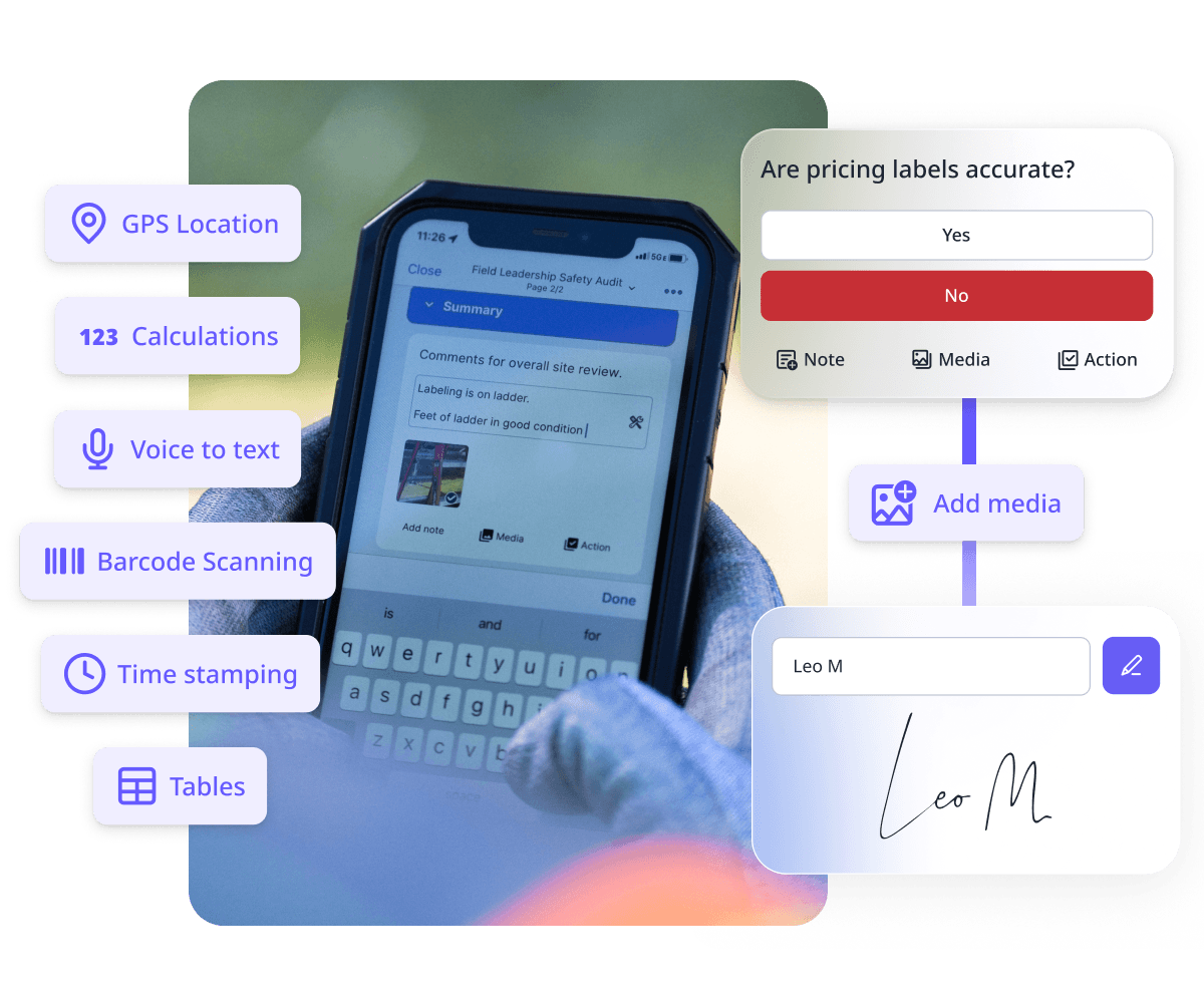 Inspections and reports asset with tables