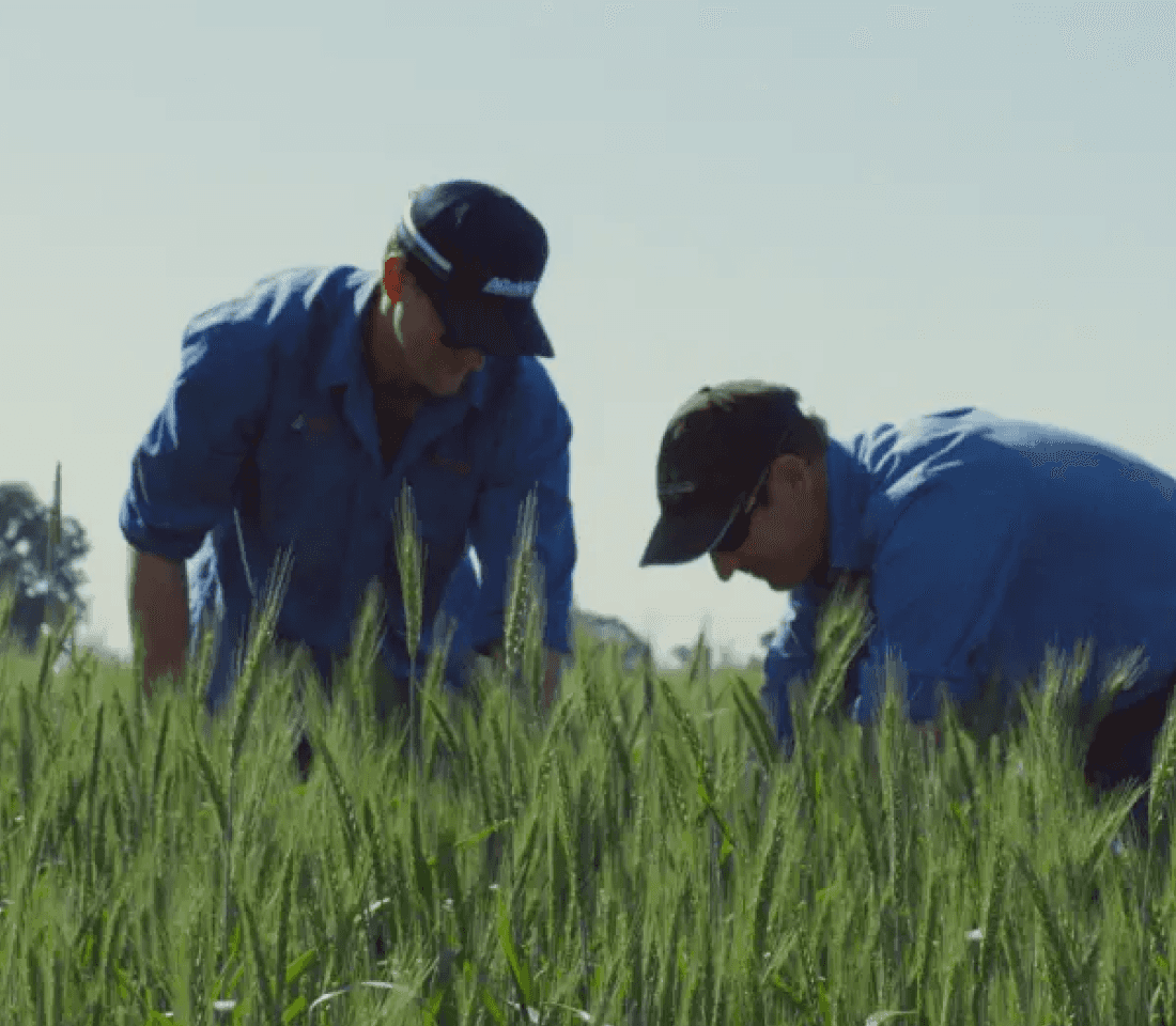 Issues Section 8 Section 1 - Testimonial Tab 1 Image