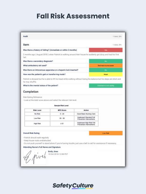 Fall Risk Assessment Example
